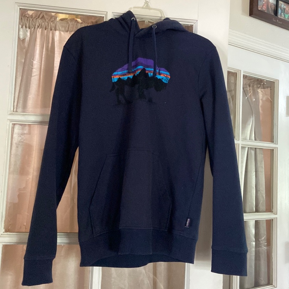 Patagonia sweatshirt